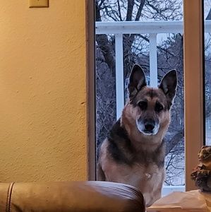 Meet your Posher, Ruth